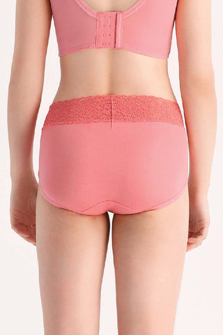 Mid Rise Shorts / Panty (Limited Edition)